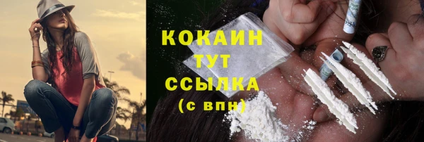 шишки Алексин