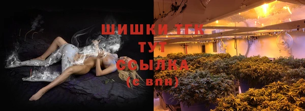 PSILOCYBIN Абаза